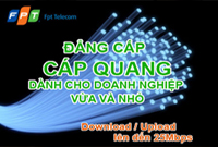 Cap quang doanh nghiep Cáp quang doanh nghiệp