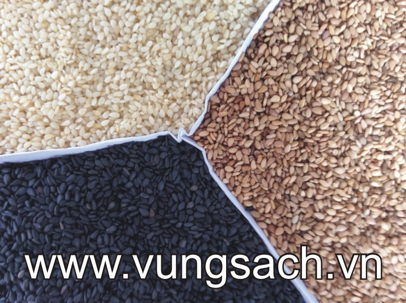 Nên ăn vừng mỗi ngày Nên ăn vừng mỗi ngày