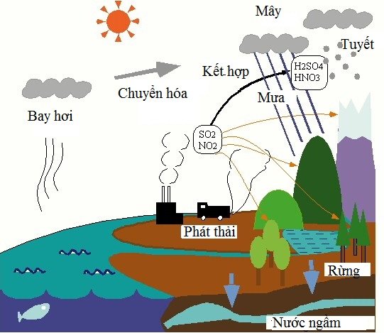 Mưa axit – những hậu quả khôn lường (P2) Mưa axit – những hậu quả khôn lường (P2)
