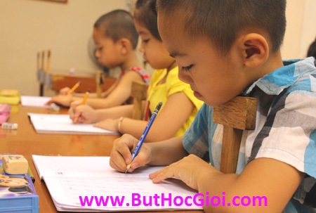 bút chấm đọc giá bao nhiêu?