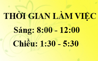 Thời gian làm việc