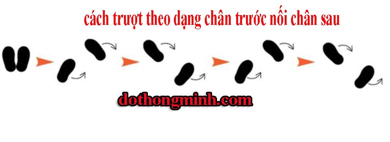 freeline skate minh hoa freeline skate nsk minh hoa