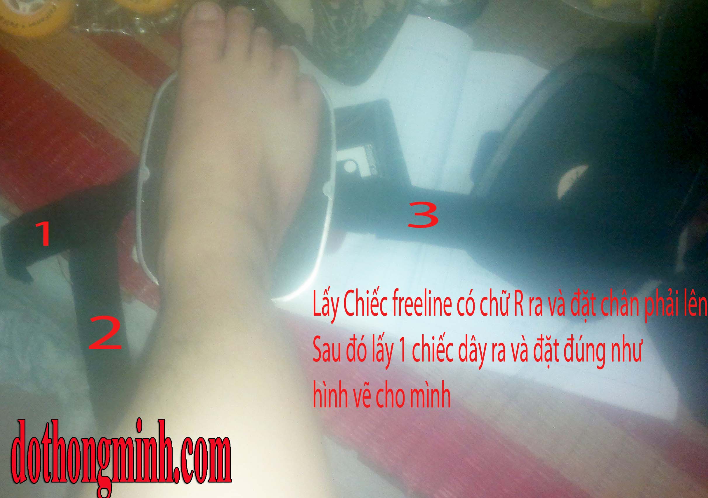 freeline xdl co dai freeline xdl co dai_5