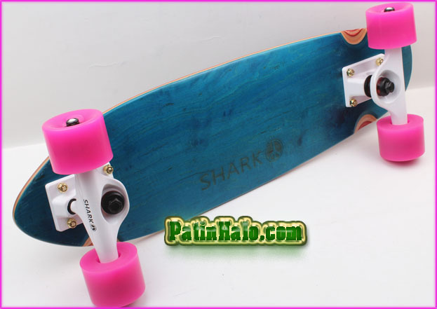 gia ca penny shark gia ca penny shark