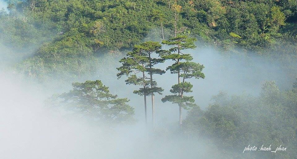 Khach San Da Lat