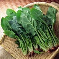Rau bina- bí quyết phòng gãy xương Rau bina- bí quyết phòng gãy xương