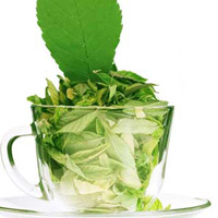 Bí kíp giải độc cho cơ thể Bí kíp giải độc cho cơ thể