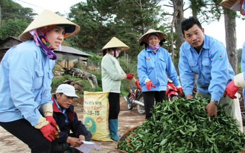 Du Lịch Đà Lạt