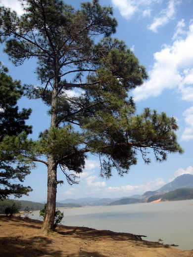 Du Lịch Đà Lạt