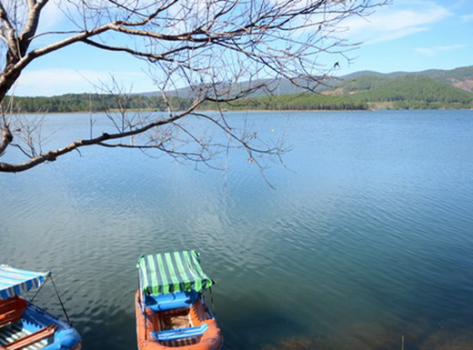 Du Lịch Đà Lạt