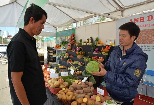 Du Lịch Đà Lạt