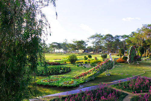 Du Lịch Đà Lạt