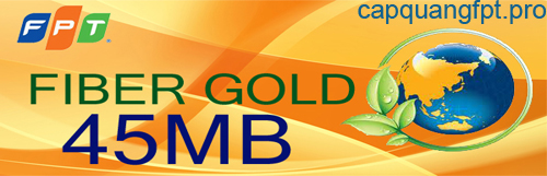Fiber Gold - 45Mbps gói cước cáp quang fpt cho công ty fiber gold