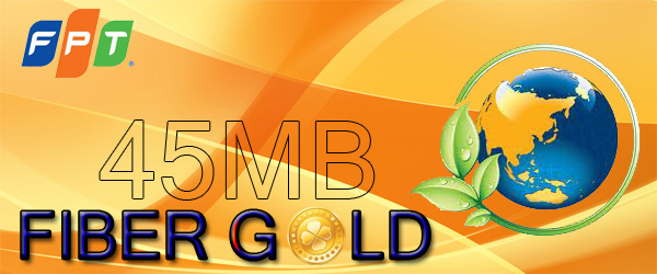 Gói Cước Fiber Gold - 45Mbps Fiber Gold