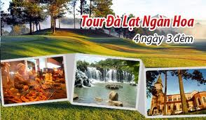 Tour Đà Lạt Khách sạn Đà Lạt