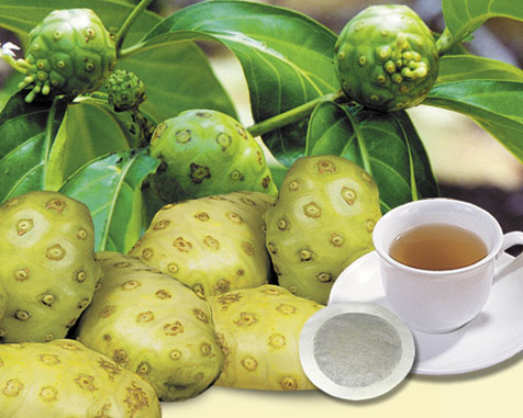 IRIDOIDS TRONG NONI, IRIDOIDS là gì? IRIDOIDS TRONG NONI, IRIDOIDS là gì?