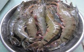 Phòng ngừa nhiễm độc chì trong thực phẩm bằng cách sử dụng máy bkozone Phòng ngừa nhiễm độc chì trong thực phẩm bằng cách sử dụng máy bkozone