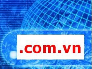 Hội thảo bảo vệ thương hiệu Việt với tên miền ".vn".