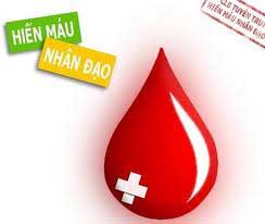 viettel tphcm tổ chức hiến máu nhân đạo 