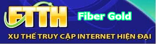 Fiber Gold, lap mang fpt, 24h