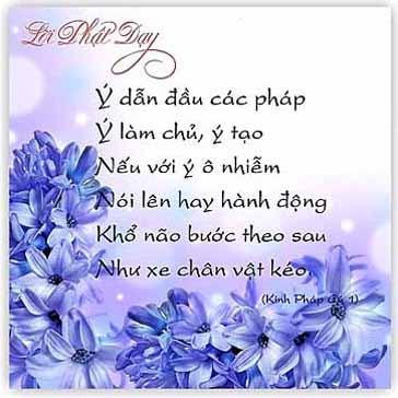 Những điều Phật dạy Những điều Phật dạy