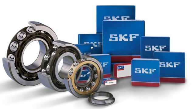 vong bi SKF