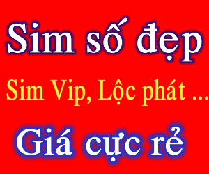 sim dep