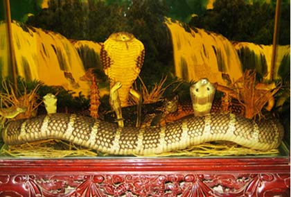Nữ đại gia và niềm đam mê “quái thú” hổ chúa dài 7m Nữ đại gia và niềm đam mê “quái thú” hổ chúa dài 7m