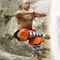 Kung fu chạy hổ Kung fu chạy hổ