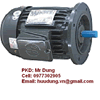 Động cơ điện, Motor giảm tốc, Hộp giảm tốc 1 pha 3 pha, 0977302905 Động cơ điện, Motor giảm tốc, Hộp giảm tốc 1 pha 3 pha, 0977302905
