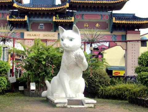 Thành phố Mèo 